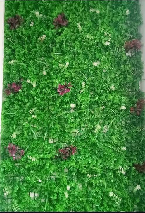 Shri Ram Home Decor